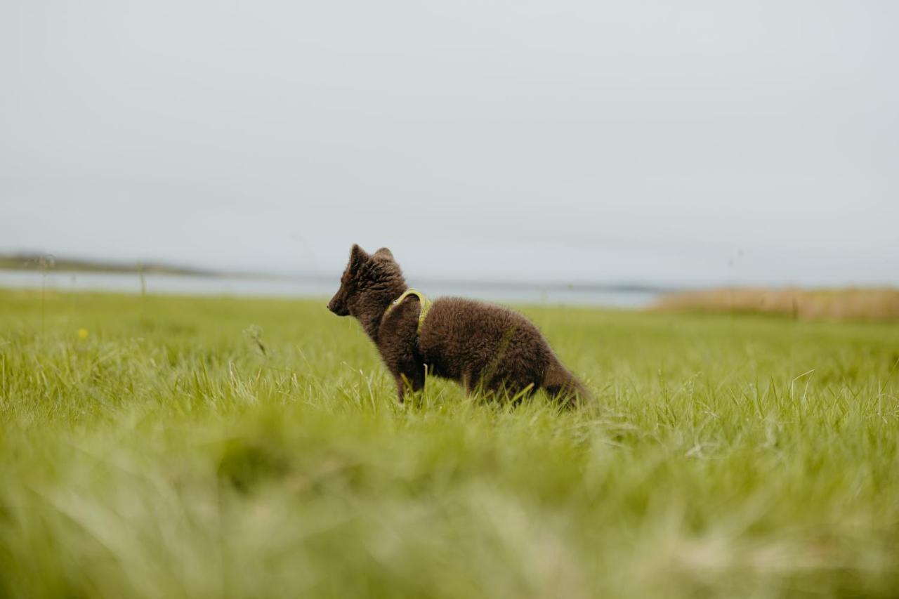 Brunastathir Holiday Home Barð Buitenkant foto