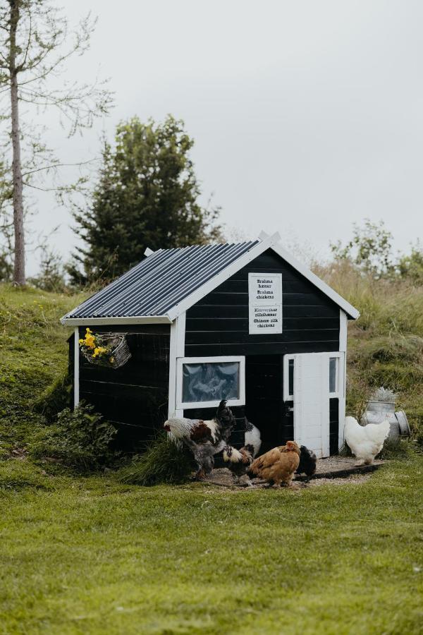 Brunastathir Holiday Home Barð Buitenkant foto